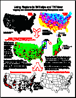 55region_portrait