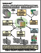 71Workflow