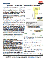 81DynamicLabels