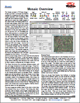 81MosaicOverview